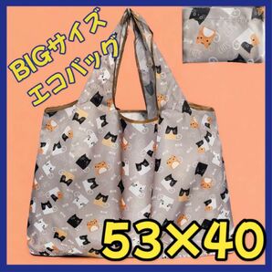 【BIGサイズ】エコバッグ 猫 ネコ グレー コンパクト 折り畳み　大容量 軽量 ショッピングバッグ 簡単 コンビニ