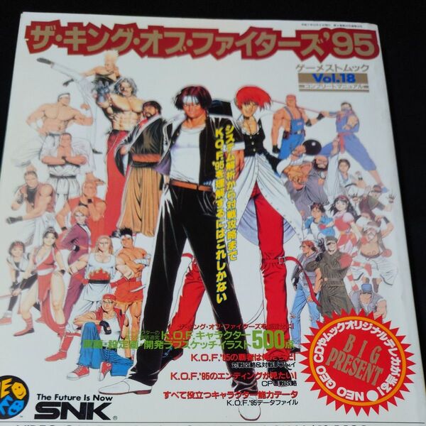 キング・オブ・ファイターズ95 コンプリートファンブック