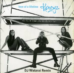 A00507370/LP/ハニーズ(HONEYZ)「Love Of A Lifetime (DJ Watarai Remix) (1999年・MR-092・R&B・ニュージャックスウィング)」