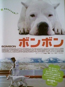 ボンボン ＢＯＭＢＯＮ DVD※同梱8枚迄OK！ 7j-1546