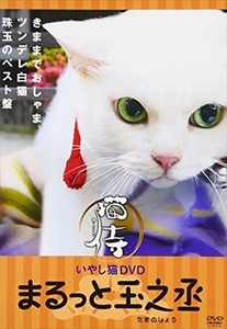 いやし猫ＤＶＤ 猫侍 まるっと玉之丞 DVD※同梱8枚迄OK！ 7f-3532