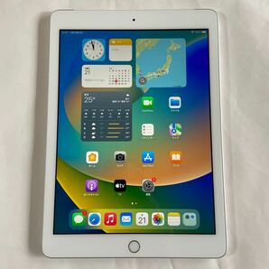 IPad 5th WiFi + Cellular 128GBGB Silver 