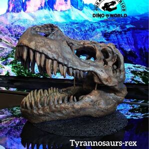 【DINOWORLD】ティラノサウルス T-REX 頭骨 化石 インテリア オブジェ レプリカ トリケラトプス ジュラシックパーク