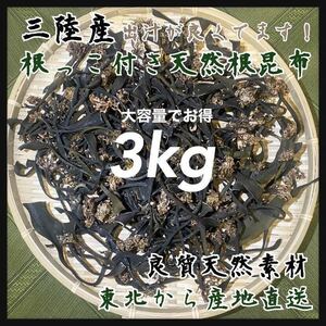 【天然根昆布】根付き根昆布3kg 良質出汁取り　大容量　お買い得商品　在庫わずか　送料込み価格　煮込み出汁以外のお料理にも！