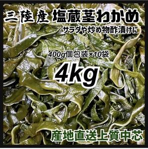 【塩蔵茎わかめ】大容量4kg 真空個分け 酢の物 炒め物に 三陸産 茎わかめ