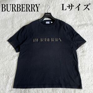 BURBERRY LONDON England ノバチェック ロゴ Tシャツ バーバリーロンドン イングランド Lサイズ 大きいサイズ