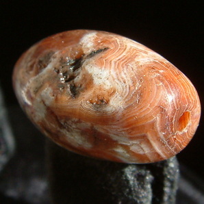 163【天珠八仙】〈エッジドカーネリアン Etched Carnelian〉..七世紀出土/亀甲六眼天珠..約2.5㌢の画像5