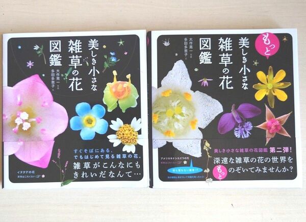 【２冊組】美しき小さな雑草の花図鑑☆もっと小さな雑草の花図鑑