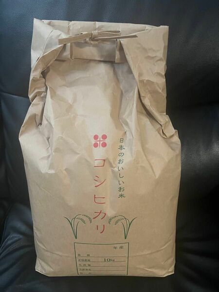 コシヒカリ　米　10kg お米