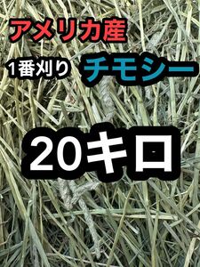 チモシー　20キロ　ウサギ モルモット　デグー チンチラ １番刈