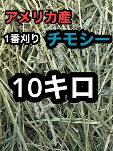 チモシー10キロ　ウサギ モルモット　デグー チンチラ １番刈