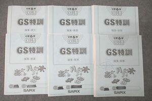 WM25-022 SAPIX サピックス 小学6年 国語 GS特訓 GS-01～06 計6回分セット 2021 28m2D