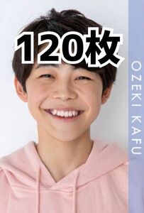 大関荷風 Myojo 2021年 デタカ データカード 120枚
