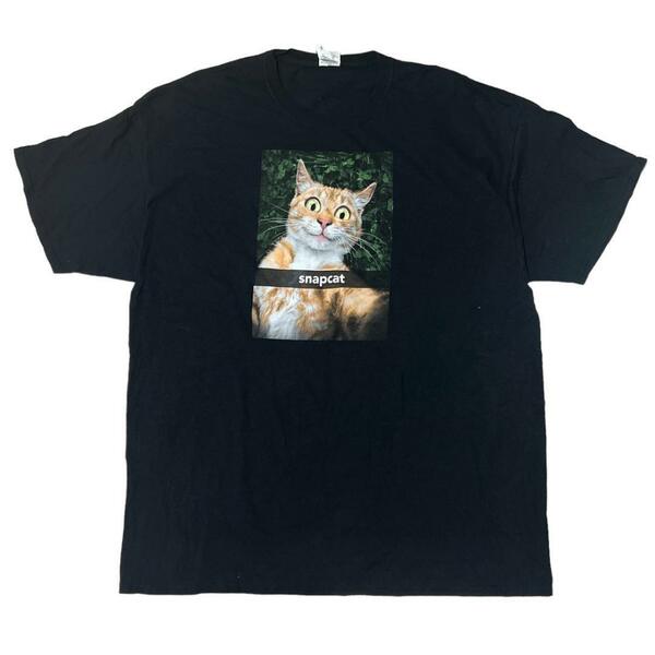 フルーツオブザルーム 半袖Tシャツ アニマルT 猫 自撮り US古着e38 XL〜XXL相当