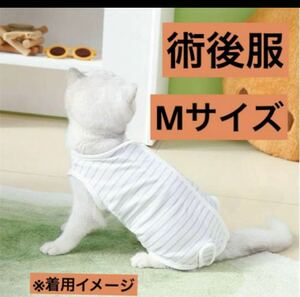 【新品】ペット用　術後ウェア 犬服　猫服　術後服　グレー　Mサイズ小型犬 可愛い ホワイト 
