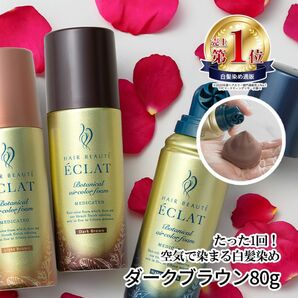 【未使用】2本セット　ヘアボーテエクラ　ボタニカルエアカラーフォームEX 80g ブラウン