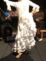 超美品　大きいサイズ３L　167cm イベリア　フラメンコ発表会用ドレス　セットアップ　フラメンコ衣装　フラメンコドレス_画像1