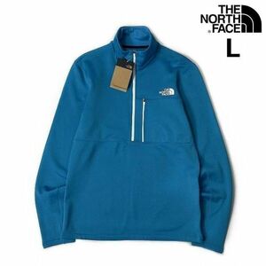 売切り【正規新品】THE NORTH FACE◆TAGEN 1/4 ZIP FLEECE フリース US限定 裏起毛 ハーフドームロゴ 男女兼用(L)青 水色 180915-25