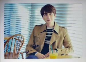 SUPER JUNIOR ☆キュヒョン/KYUHYUN 【Celebration~君に架ける橋~】非売品/ノベルティ A4下敷き