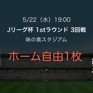 【5/22(水)】東京ヴェルディ対サンフレッチェ広島　ルヴァンカップ　ホーム自由1枚 3