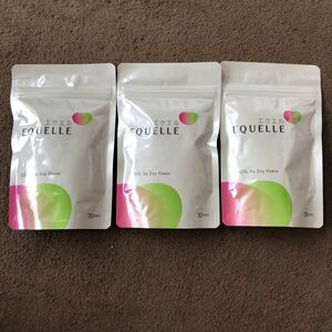 EQUELLE エクエル パウチ 120粒x3袋 (3ヶ月分)　　送料込み　匿名配送