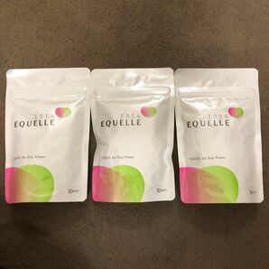 EQUELLE エクエル パウチ 120粒x3袋 (3ヶ月分)　　送料込み　匿名配送