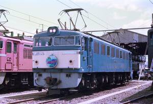 ☆鉄道写真　2Lサイズ：国鉄　EF60‐503　吹田機関区