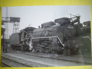 * railroad photograph KG size : National Railways D51879 dragon . machine district 