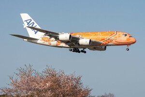 飛行機 デジタル画像 A380 ANA フライングホヌ 3号機 14