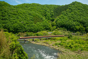 鉄道 デジ 写真 画像 381系 国鉄色 特急やくも 89