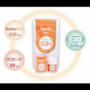 【igendo】（医源堂）プロテクサンプラス 120粒入 UVケア サプリメント　飲む日焼け止め