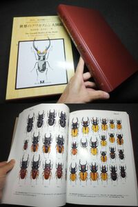  regular price 2 ten thousand 8 thousand jpy! large llustrated book! world. stag beetle large illustrated reference book! insect large illustrated reference book series! inspection . thing . specimen peeling made oo stag beetle gloss stag beetle Indonesia 