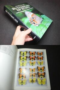  large foreign book! Russia. butterfly! inspection Germany box butterfly. specimen age is large snow. butterfly rice field . line man Japan Alps. butterfly takane light Baki chouyamamon