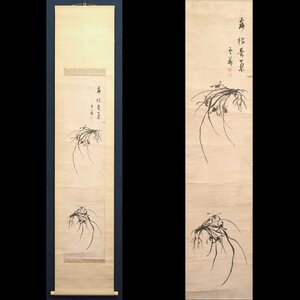 Art hand Auction [نسخة] [Watarikan] [Unka Daikan] 15118 لوحة يابانية معلقة التمرير صورة الأوركيد صندوق مدمج صورة زهرة وطيور أويتا بونغو جودو شينشو أوتاني توقيع المدرسة, تلوين, اللوحة اليابانية, الزهور والطيور, الحياة البرية