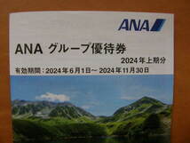 最新★全日空★ANA　グループ優待券 1冊★2024年11月30日まで_画像2