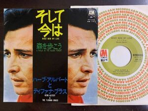 7inch ハーブ・アルパート HERB ALPERT & THE TIJUANA BRASS / WHAT NOW MY LOVE / A WALK IN THE BLACK FOREST 国内盤 AM-19