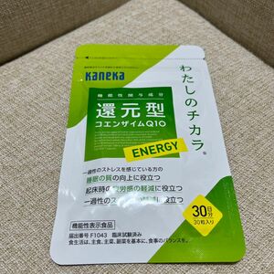 わたしのチカラ 還元型 ENERGY