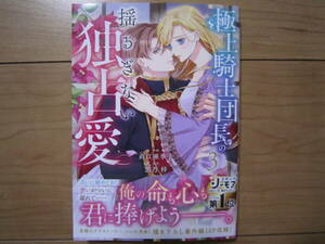 ★４月新刊ベリーズファンタジーコミックス★極上騎士団長の揺るぎない独占愛③　直江亜季子