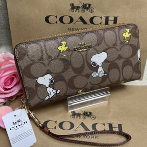 コーチ 財布 COACH 長財布 シグネチャー COACH X PEANUTSスペシャル レディース 財布 ラウンドジップ長財布 シグネチャー スヌーピー