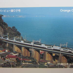 ＪＲ東日本フリーオレンジカード 251系スーパービュー踊り子の画像1