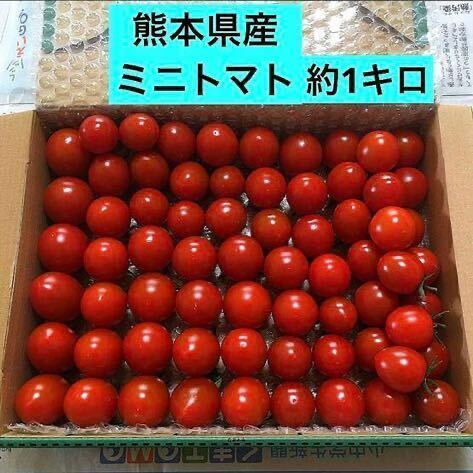 熊本県産　ミニトマト　約1キロ