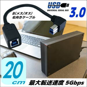 USB3.0 B(オス/メス)右側に出す方向転換ケーブル 20cm プリンタやHDDなどの接続時にスペースがない場合に便利です 3BR02-