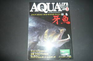 バックナンバー アクアライフ AQUA LIFE 2007年 ３月号 No.33２ 牙魚 used