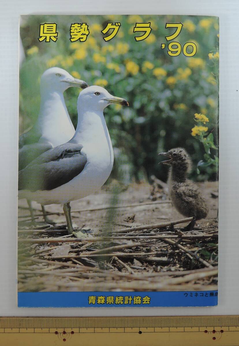 ☆B03■青森県　県勢グラフ’90　（青森県全図・人口世帯数の推移・年齢別人口の