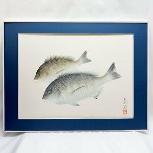 1円～「魚神」水彩画 鯛 　作品　高さ44cm×横58.5cm