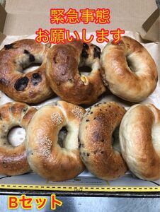 【困ってます】Bセット国産小麦のベーグル7種類