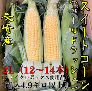 甘くて美味しい　とうもろこし（ゴールドラッシュ）2Lサイズ　A品（1級品）