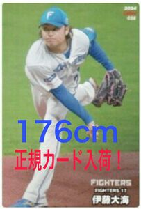 ☆伊藤大海☆エラーカードの交換 修正版正規カード☆2024 カルビープロ野球チップス 北海道日本ハムファイターズ