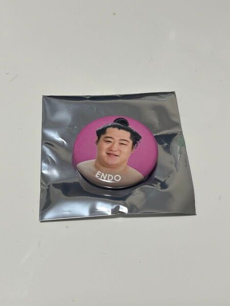 大相撲 遠藤 バッチ 非売品