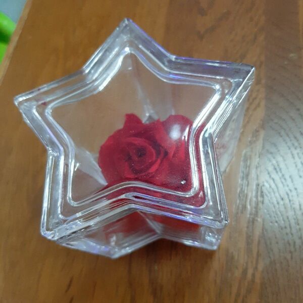 星型 ガラスケース ブリザードフラワー 薔薇